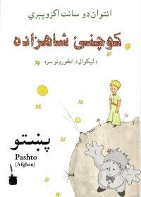کوچني شاهزاده ( Koènay Shahzada )
Abdul Bari
Edition Tintenfass
[Pashto / Afghano/Afganistan]
978-3-937467-39-9
2007